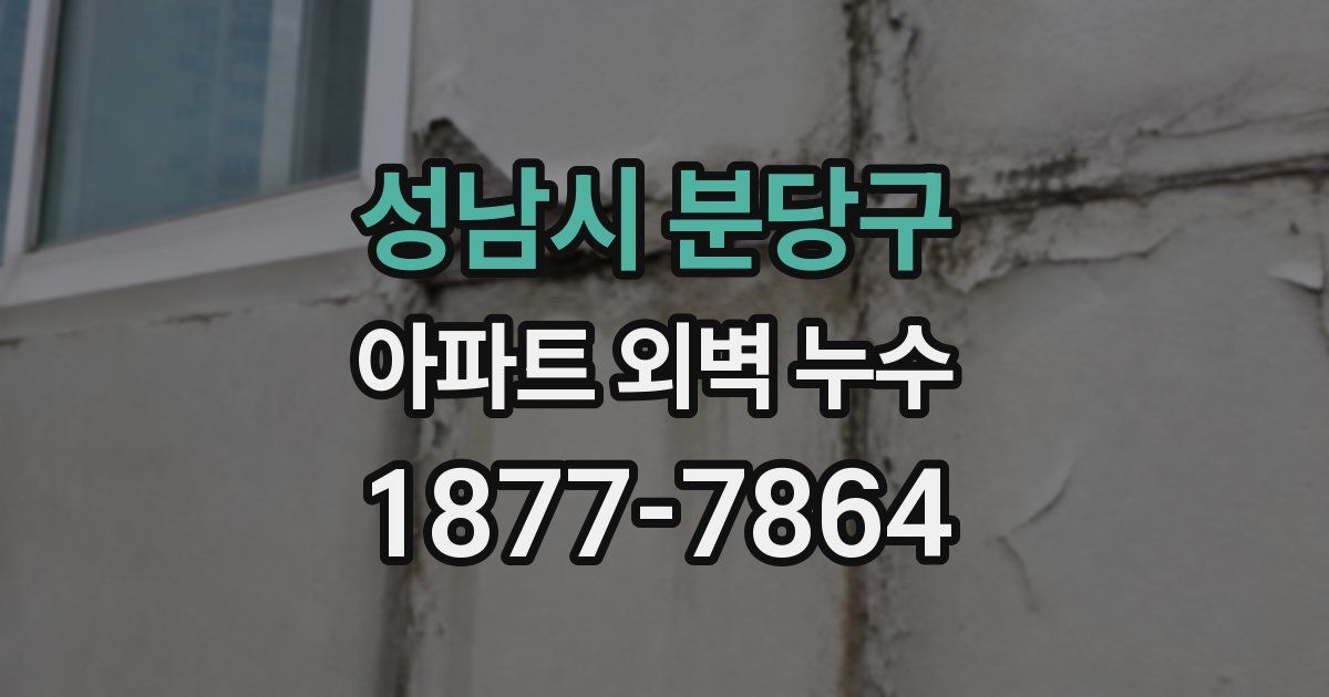 성남시 분당구 아파트 외벽 누수