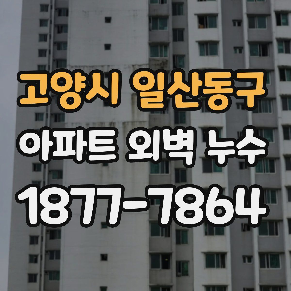 고양시 일산동구 아파트 외벽 누수