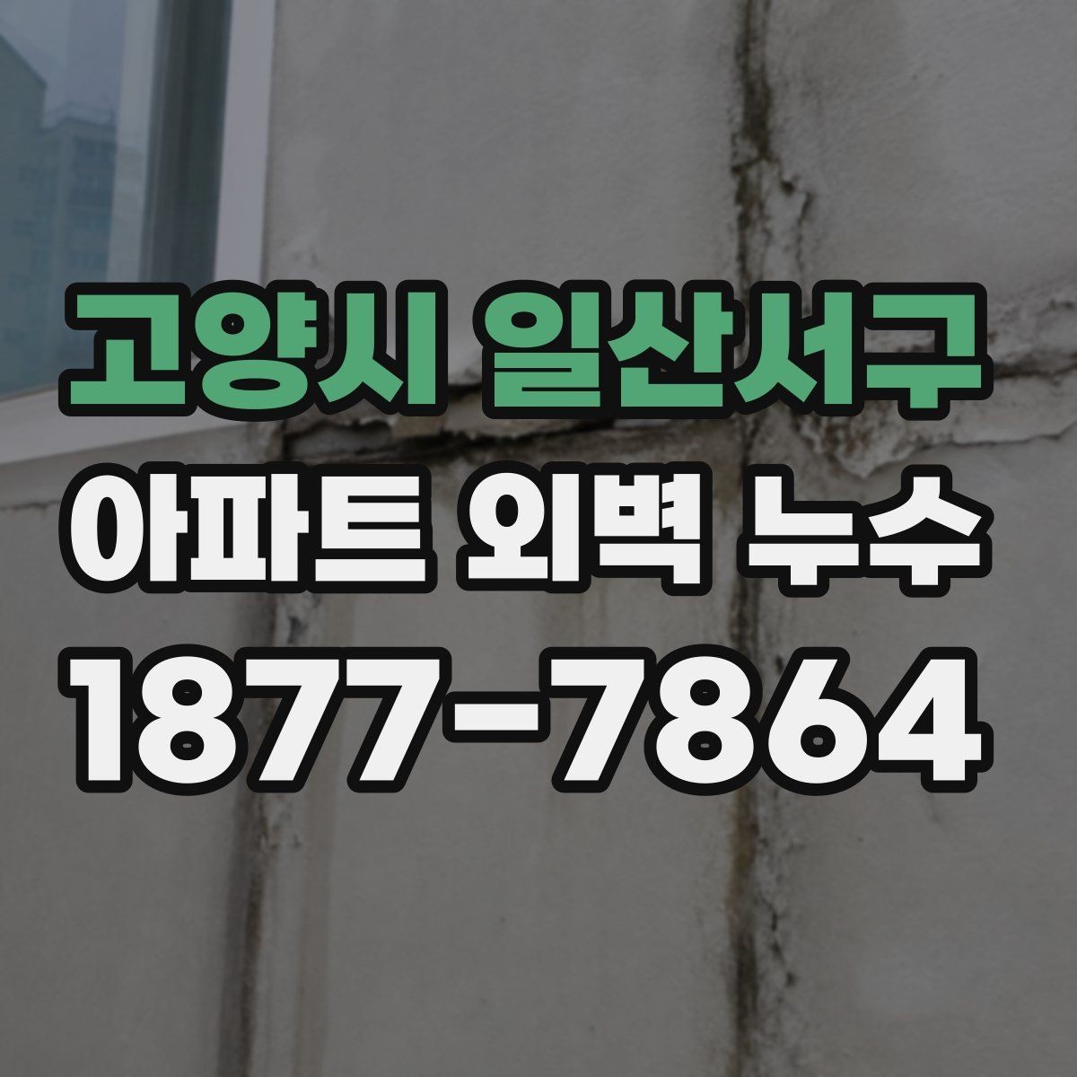 고양시 일산서구 아파트 외벽 누수 외벽 갈라짐과의 관련성