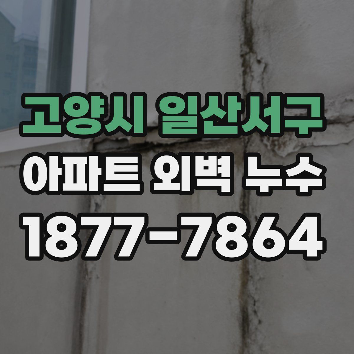 고양시 일산서구 아파트 외벽 누수