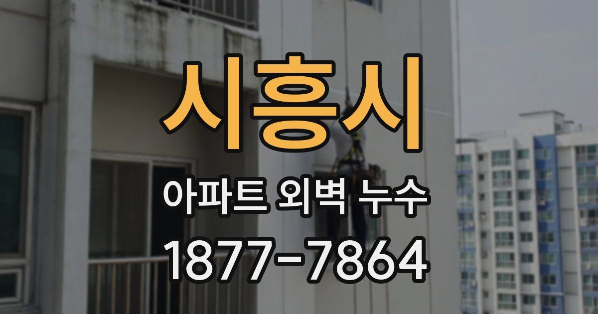 시흥시 아파트 외벽 누수