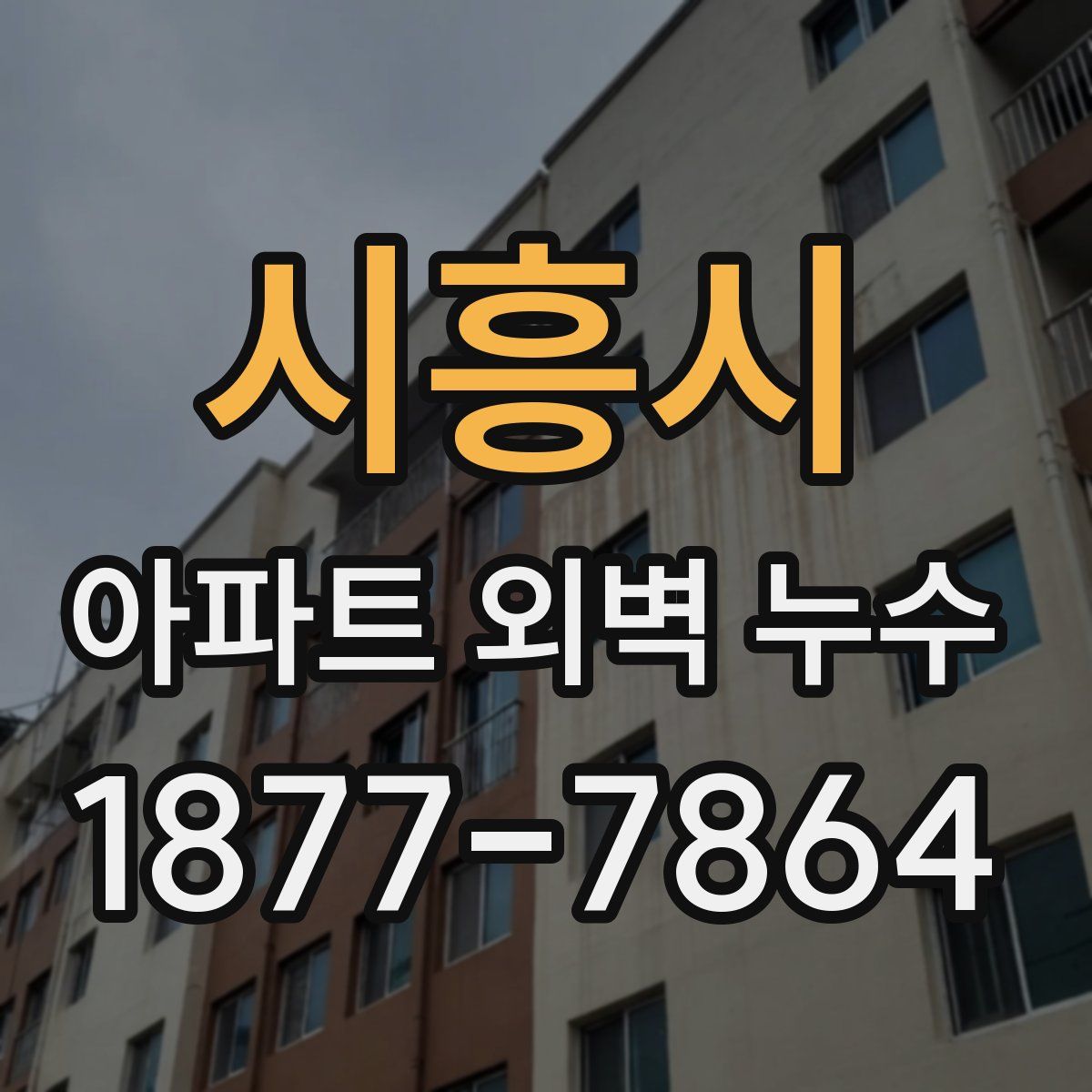 시흥시 아파트 외벽 누수