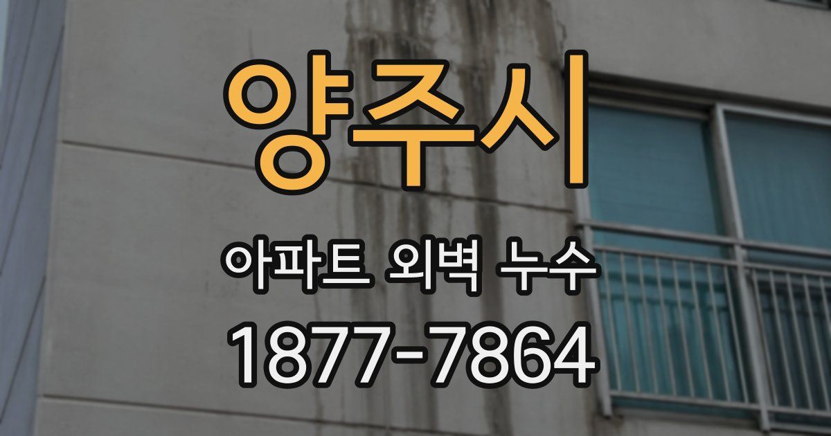 양주시 아파트 외벽 누수