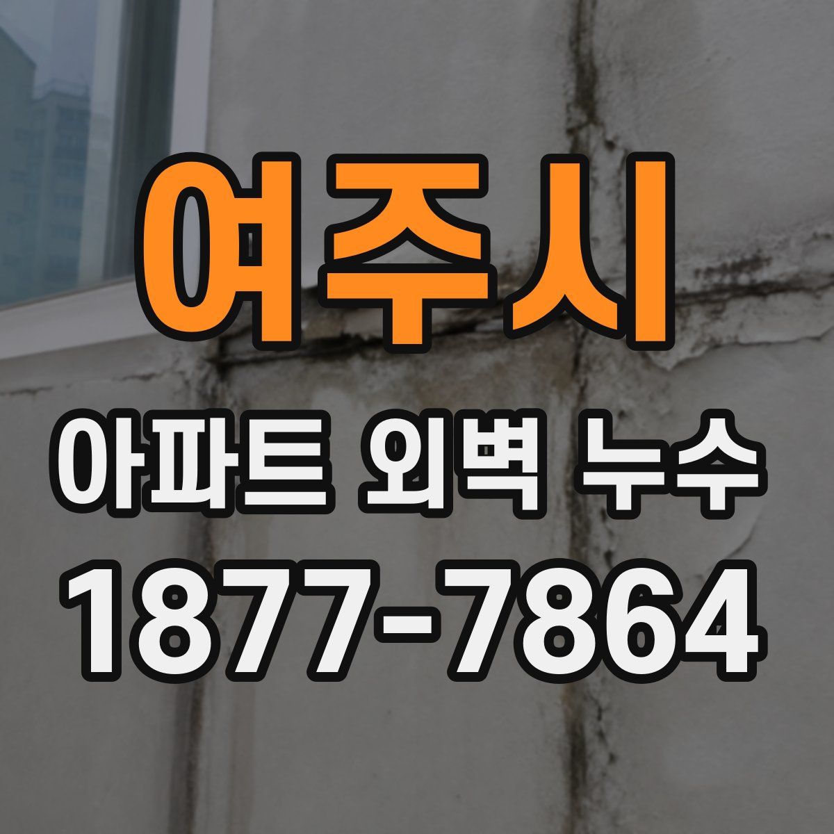 여주시 아파트 외벽 누수
