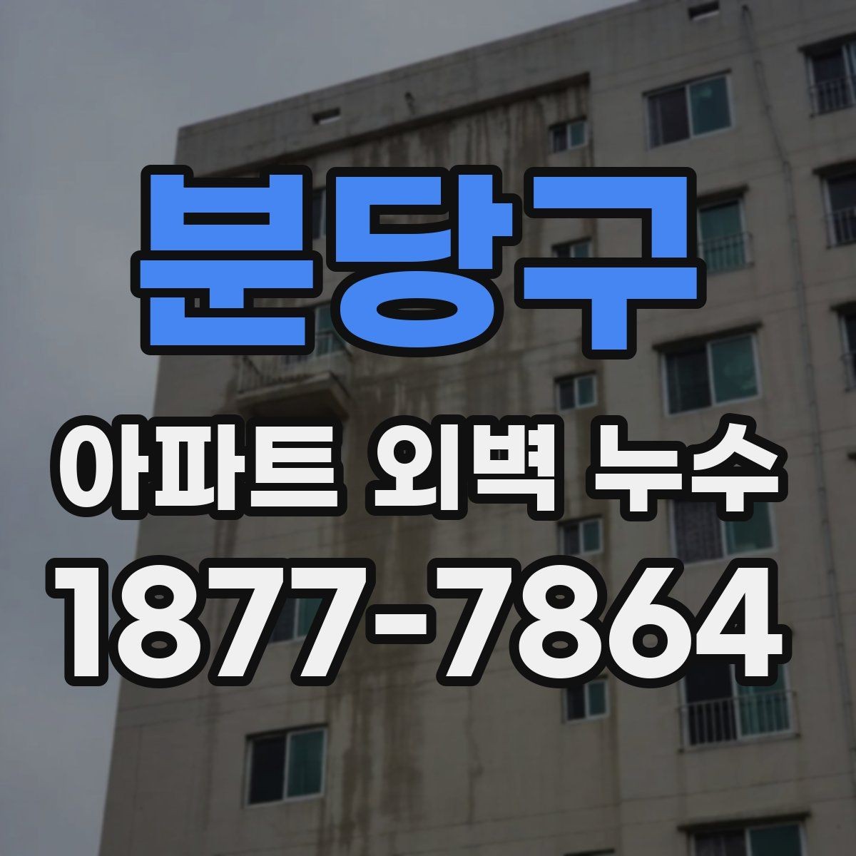 분당구 아파트 외벽 누수 원인별 해결 방향 정리