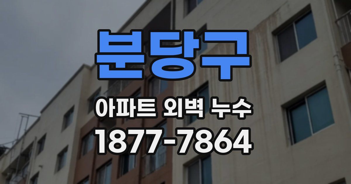 분당구 아파트 외벽 누수