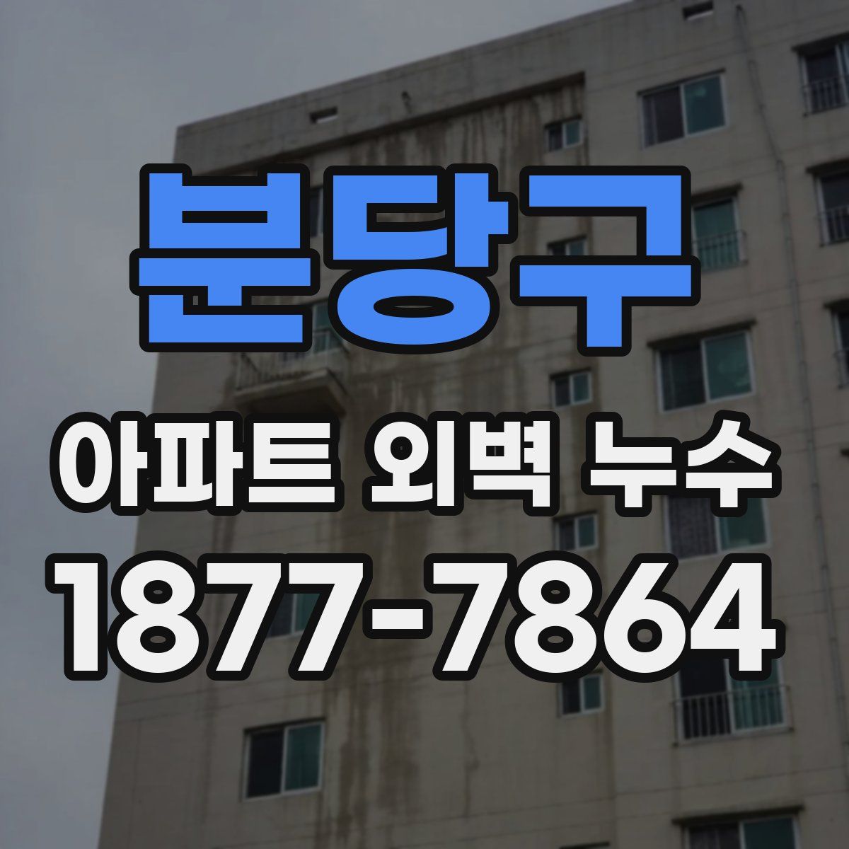 분당구 아파트 외벽 누수