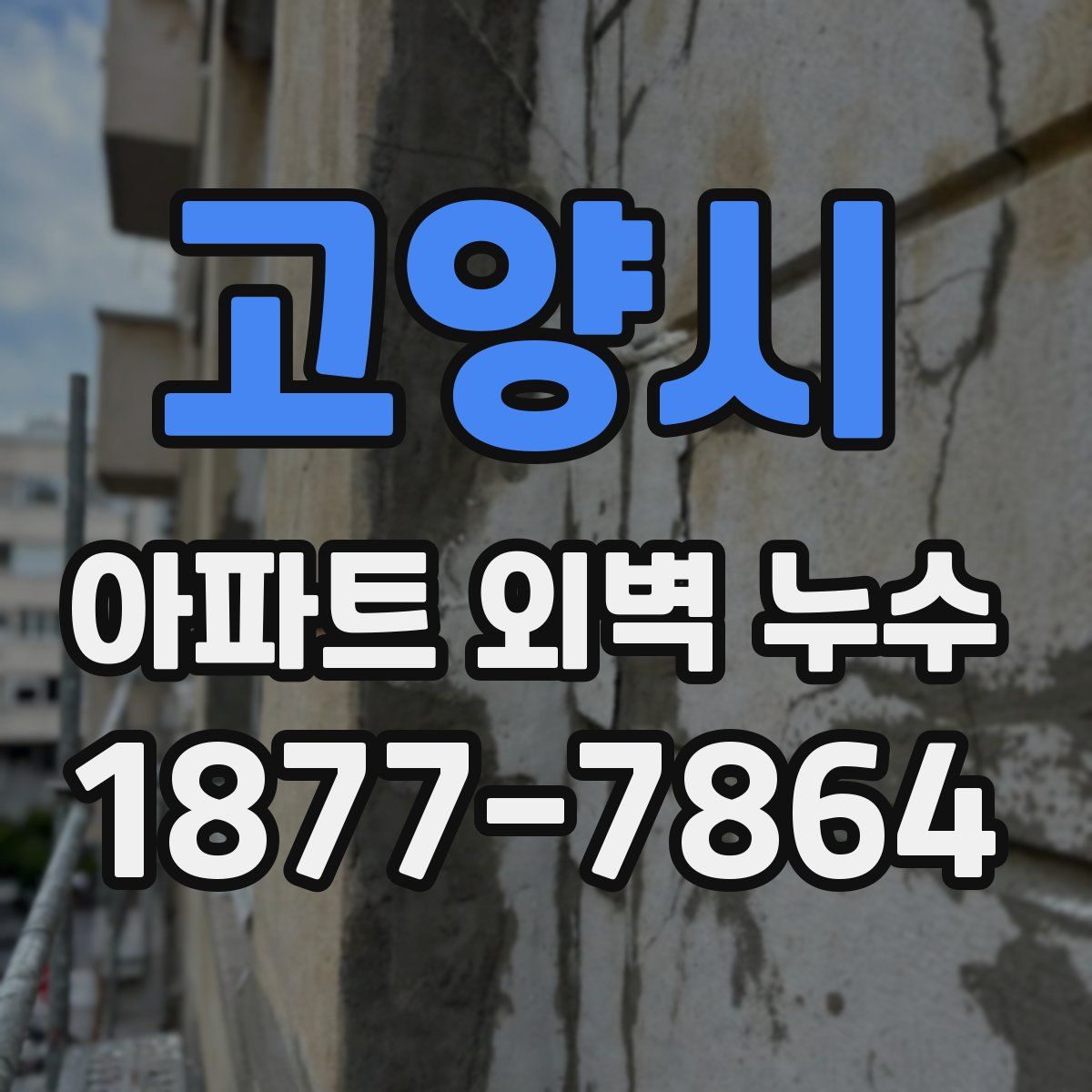 고양시 아파트 외벽 누수