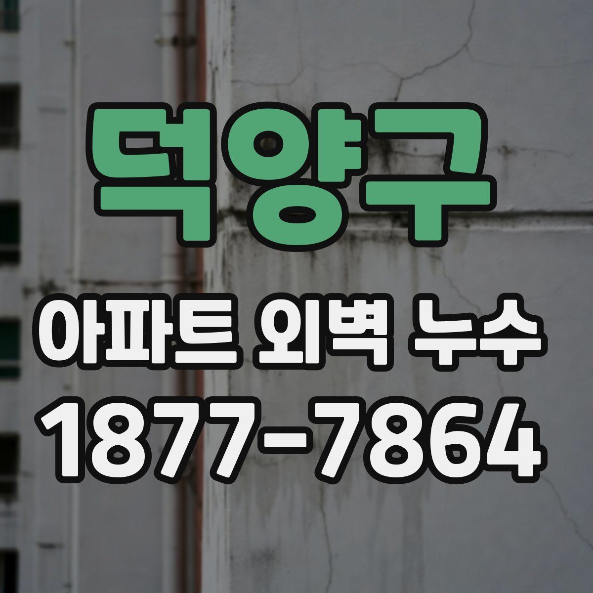 덕양구 아파트 외벽 누수
