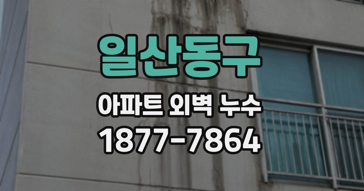 일산동구 아파트 외벽 누수