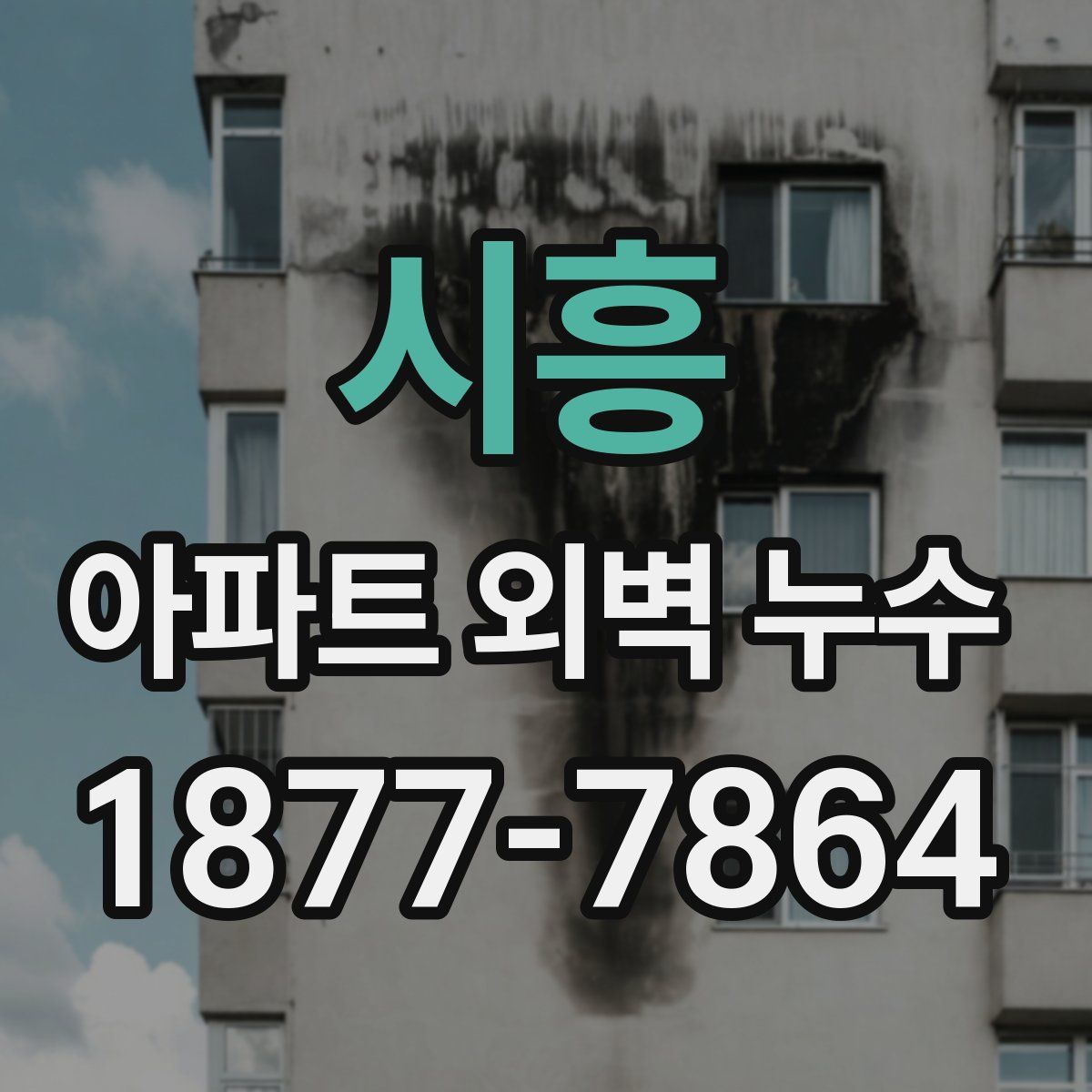 시흥 아파트 외벽 누수
