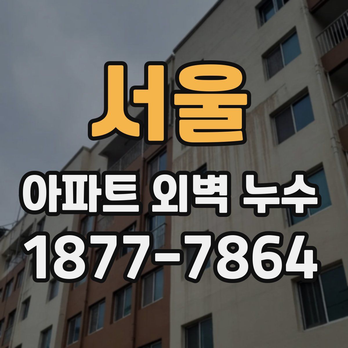 서울 아파트 외벽 누수