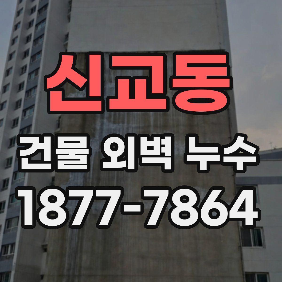 신교동 건물 외벽 누수