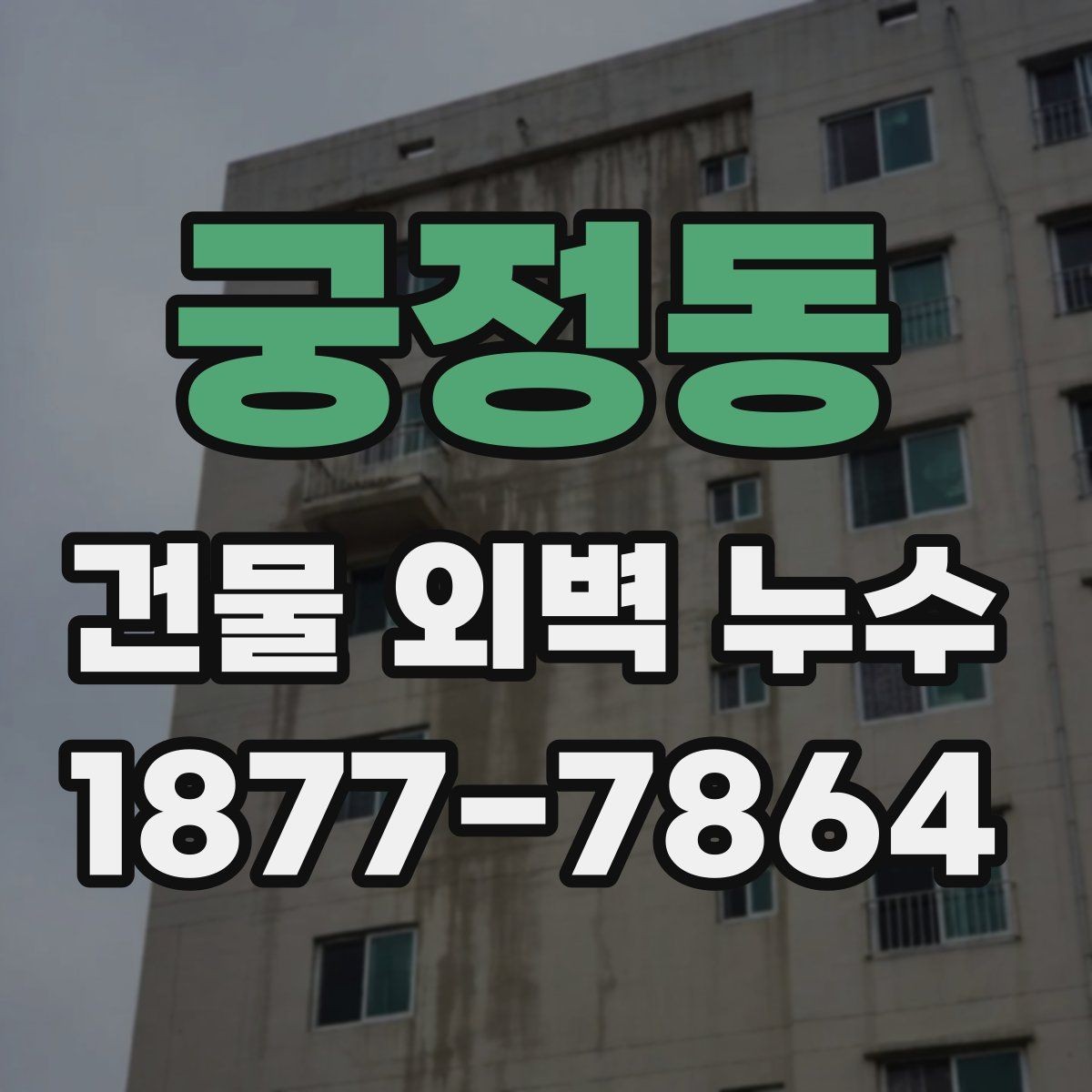 궁정동 건물 외벽 누수 조사 시 확인할 항목
