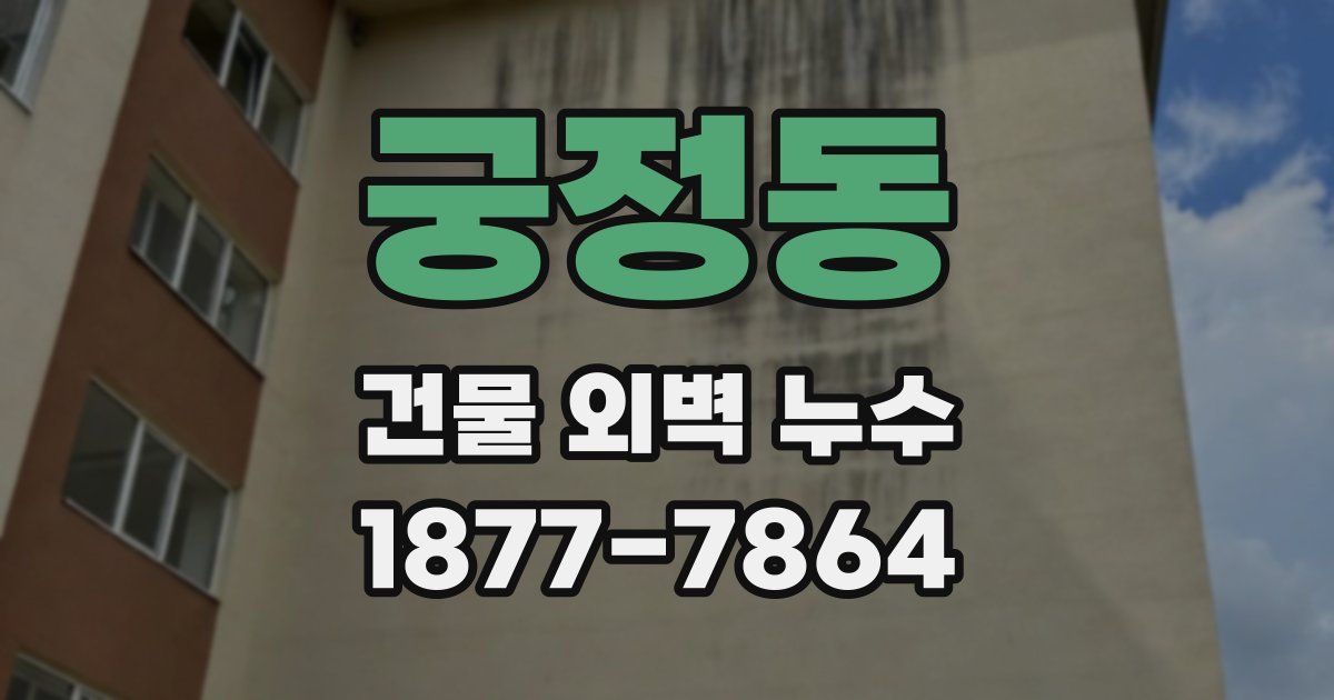 궁정동 건물 외벽 누수