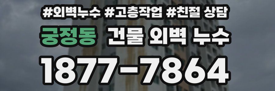 궁정동 건물 외벽 누수