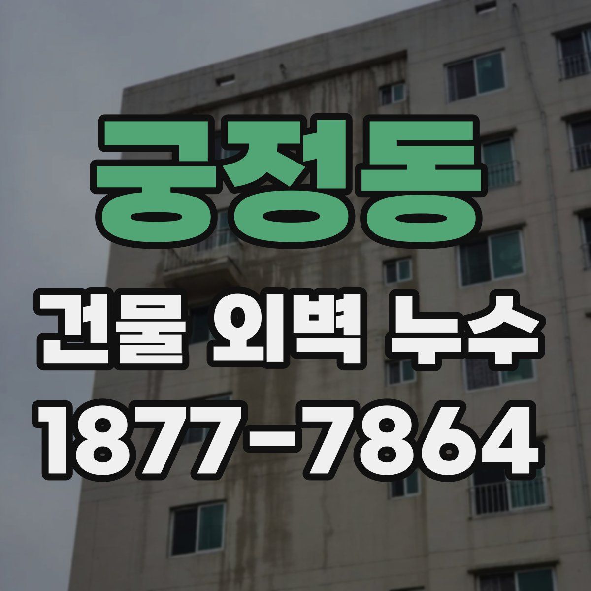 궁정동 건물 외벽 누수