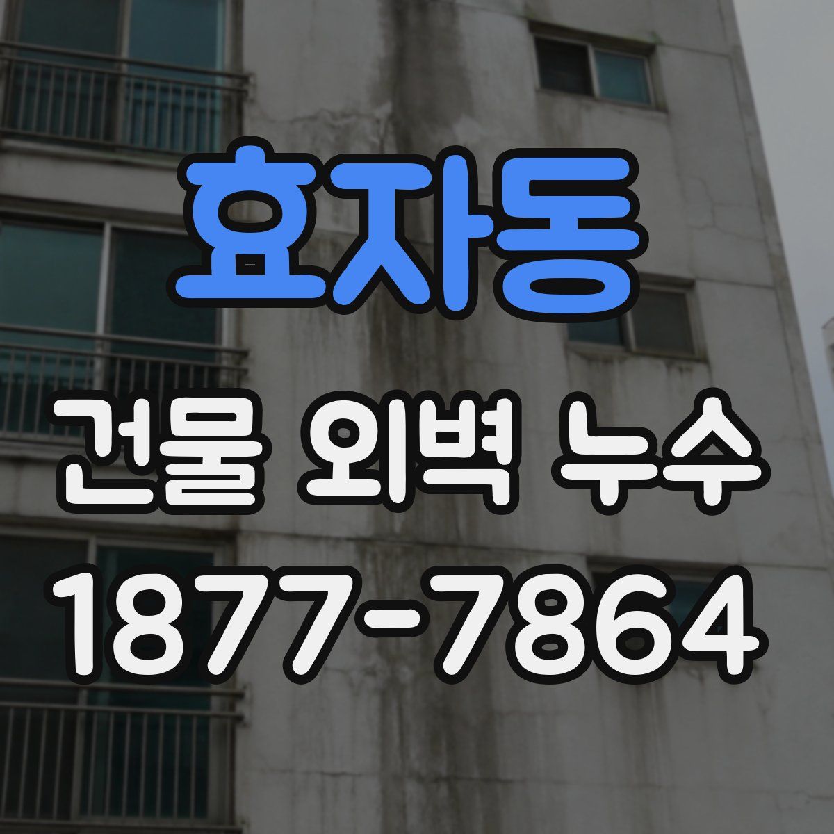 효자동 건물 외벽 누수