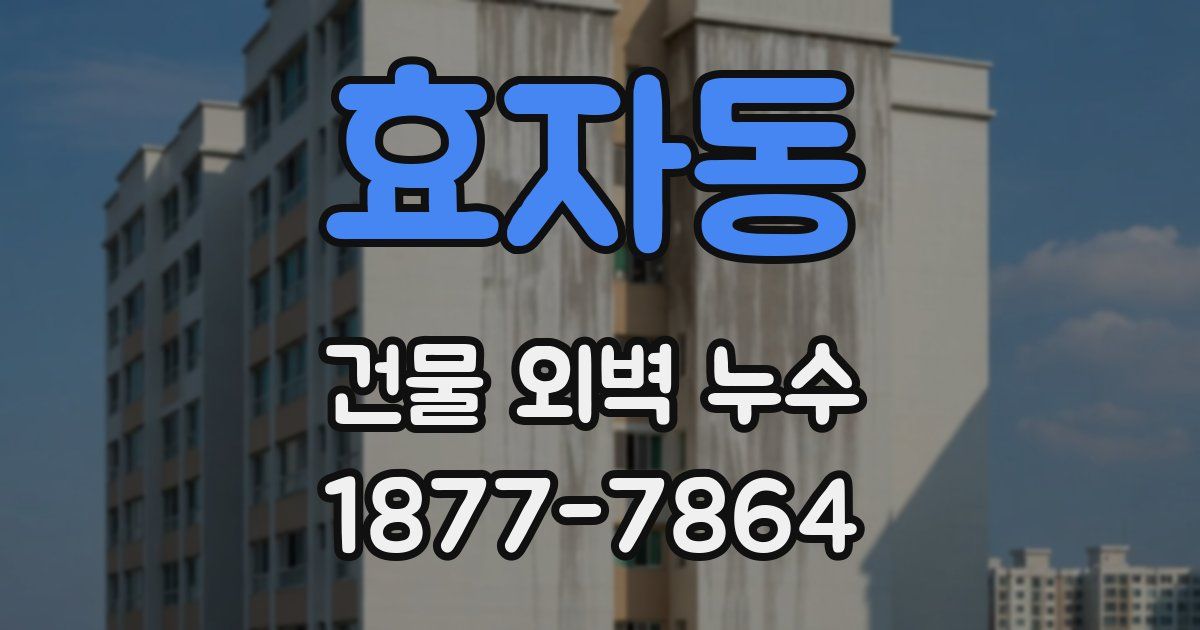 효자동 건물 외벽 누수