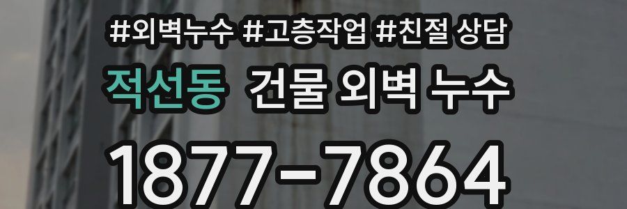 적선동 건물 외벽 누수