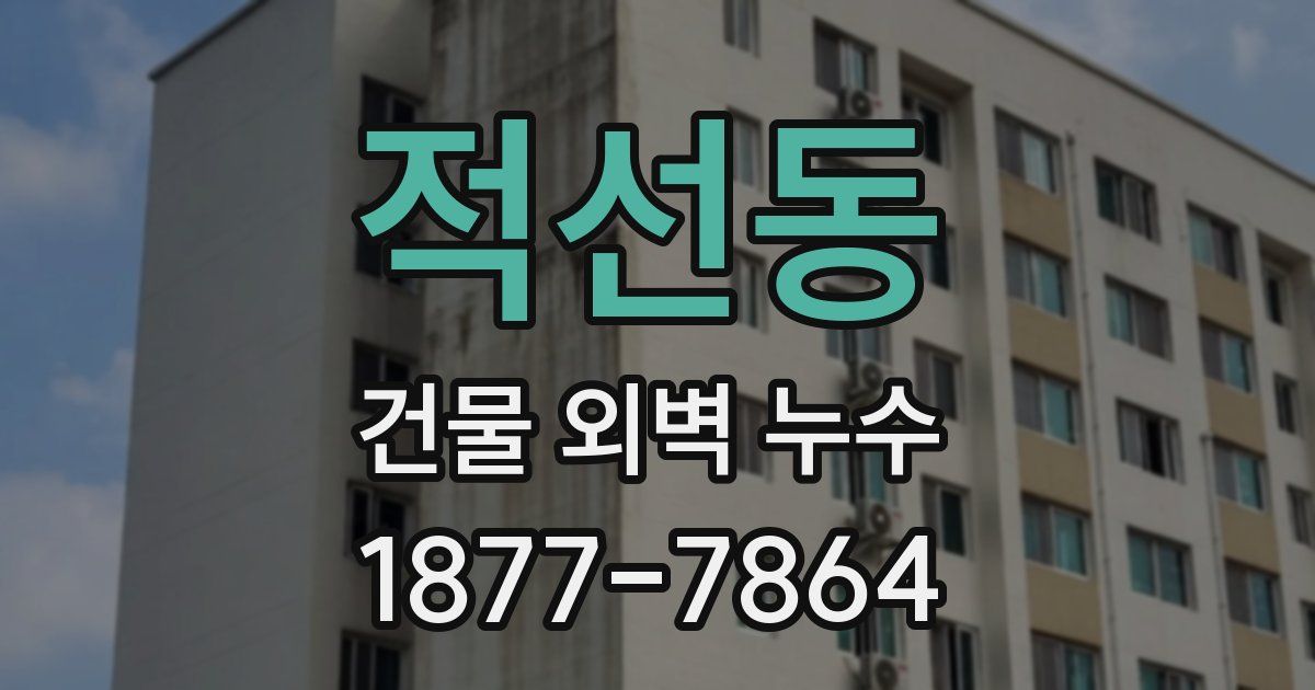 적선동 건물 외벽 누수