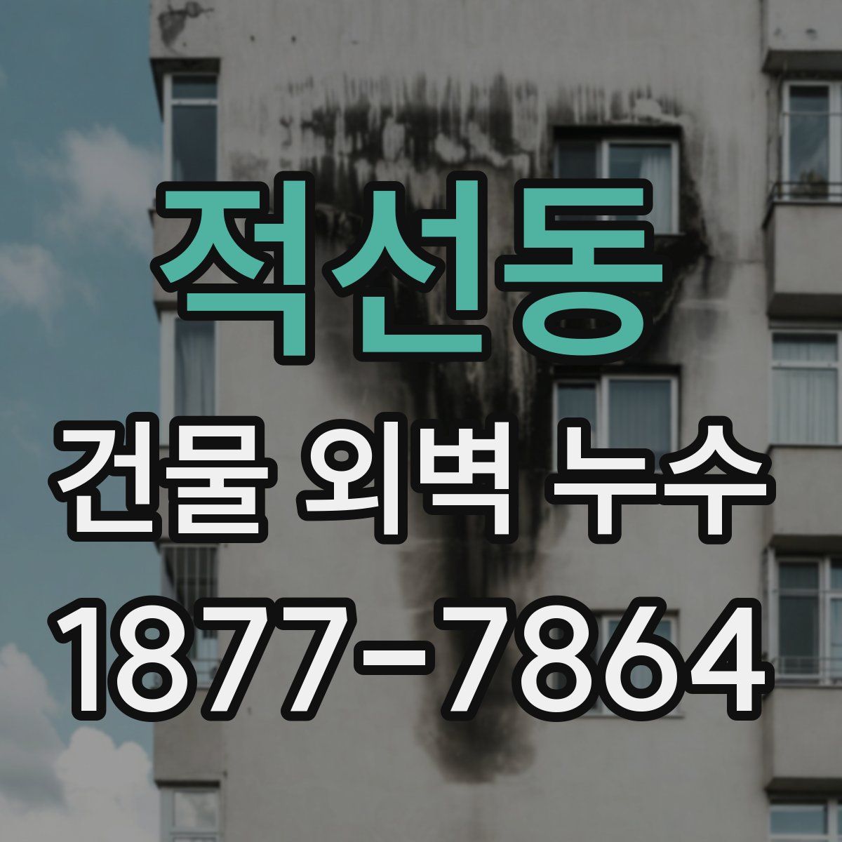 적선동 건물 외벽 누수