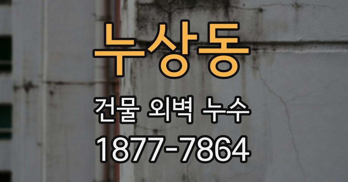 누상동 건물 외벽 누수
