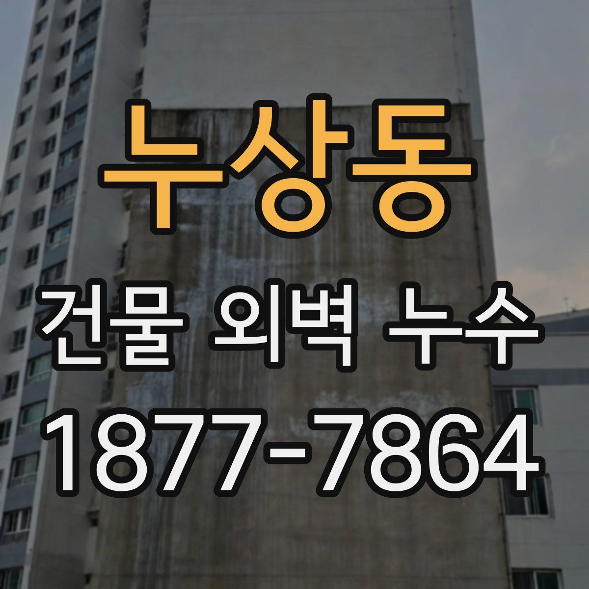 누상동 건물 외벽 누수