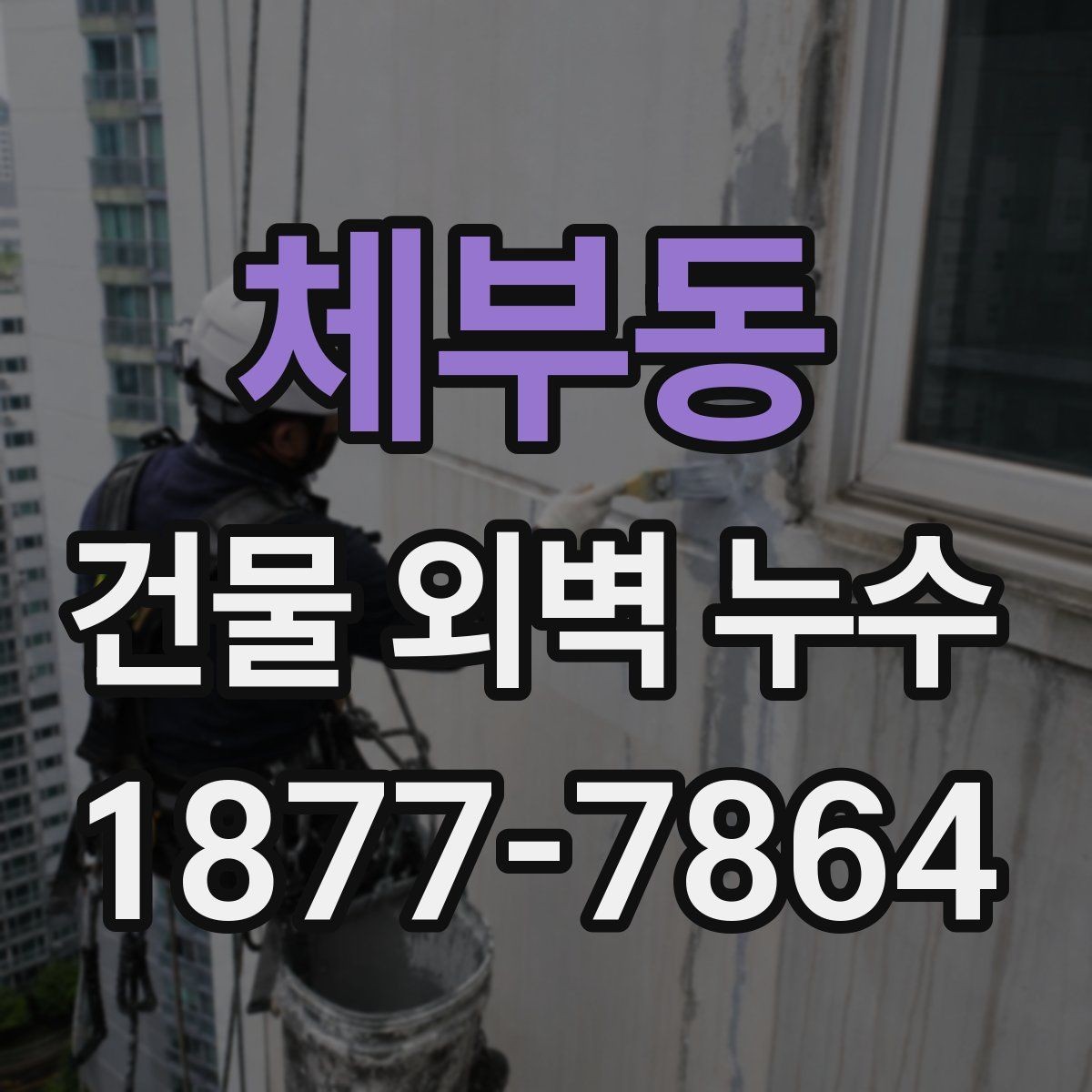 체부동 건물 외벽 누수 보수 계획을 세울 때 고려할 점