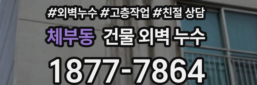 체부동 건물 외벽 누수