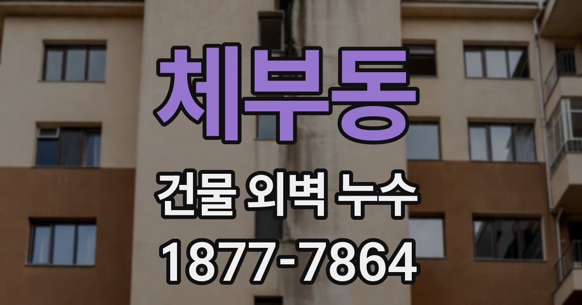 체부동 건물 외벽 누수