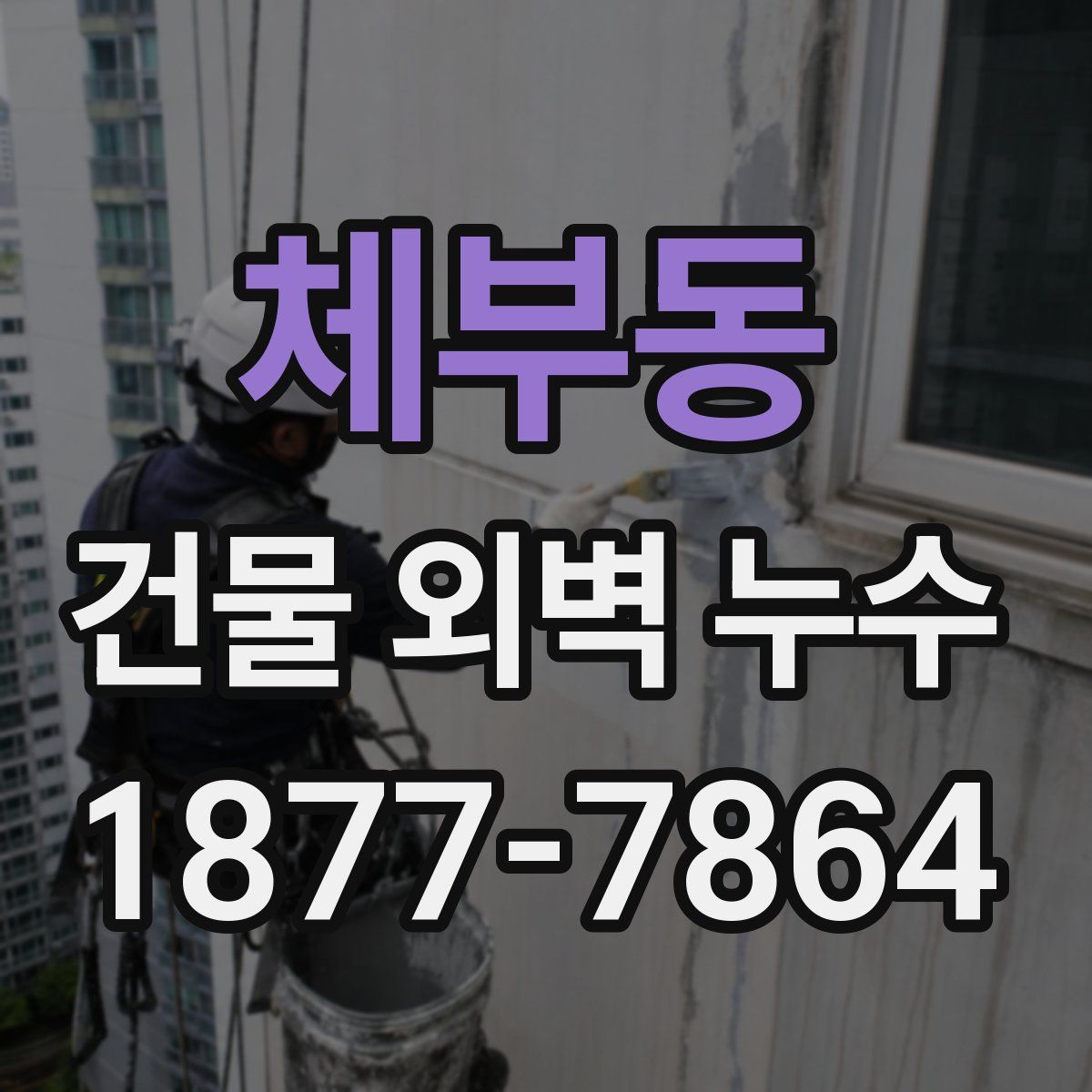 체부동 건물 외벽 누수