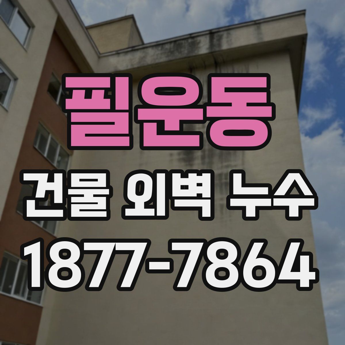 필운동 건물 외벽 누수