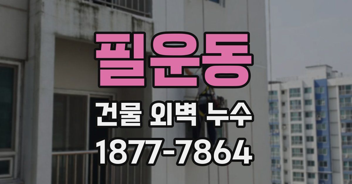 필운동 건물 외벽 누수