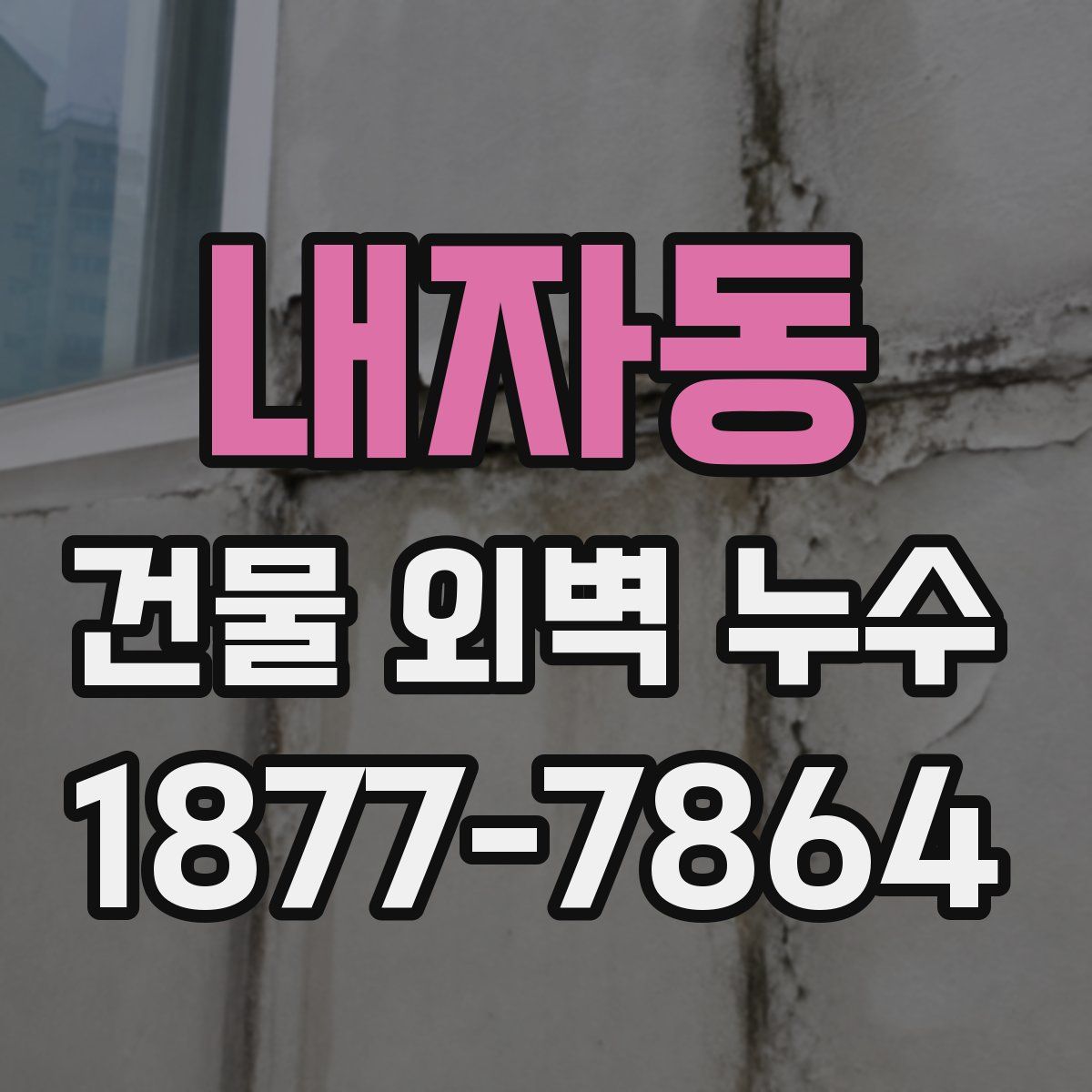 내자동 건물 외벽 누수