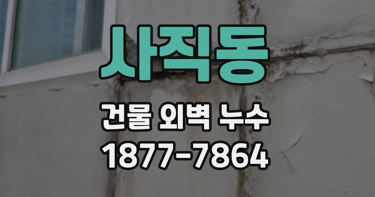 사직동 건물 외벽 누수