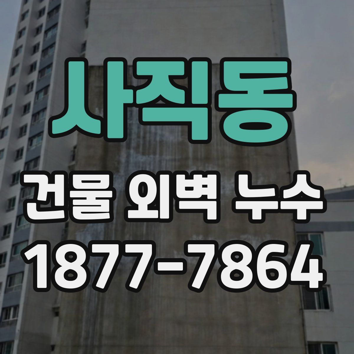 사직동 건물 외벽 누수