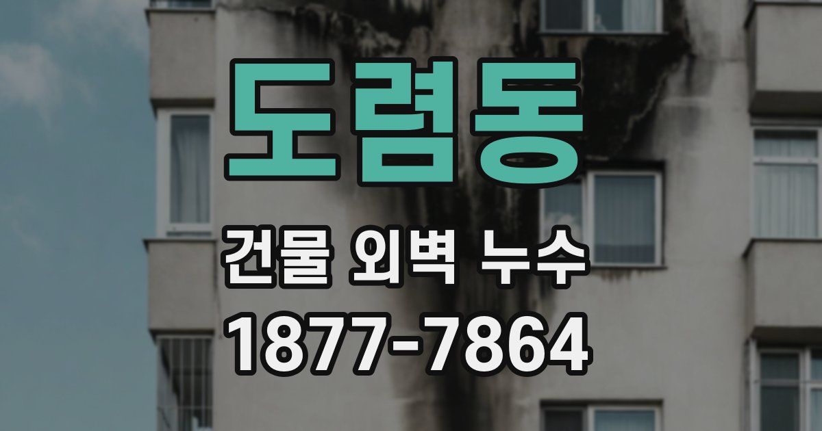 도렴동 건물 외벽 누수