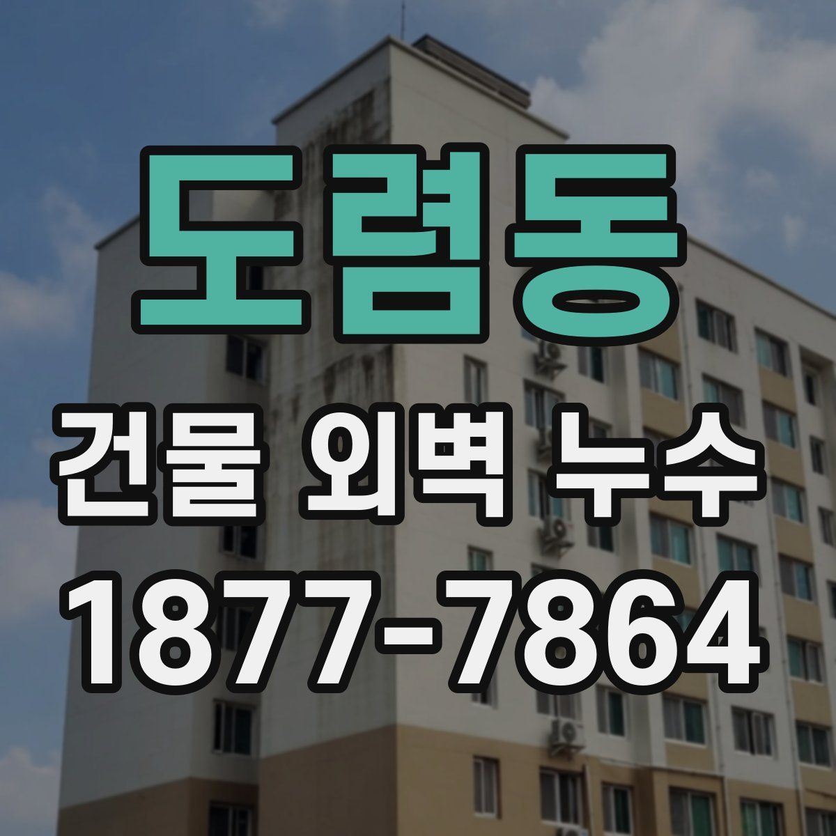 도렴동 건물 외벽 누수