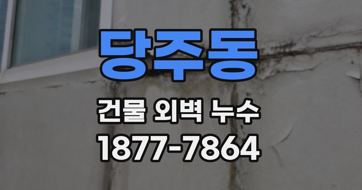 당주동 건물 외벽 누수
