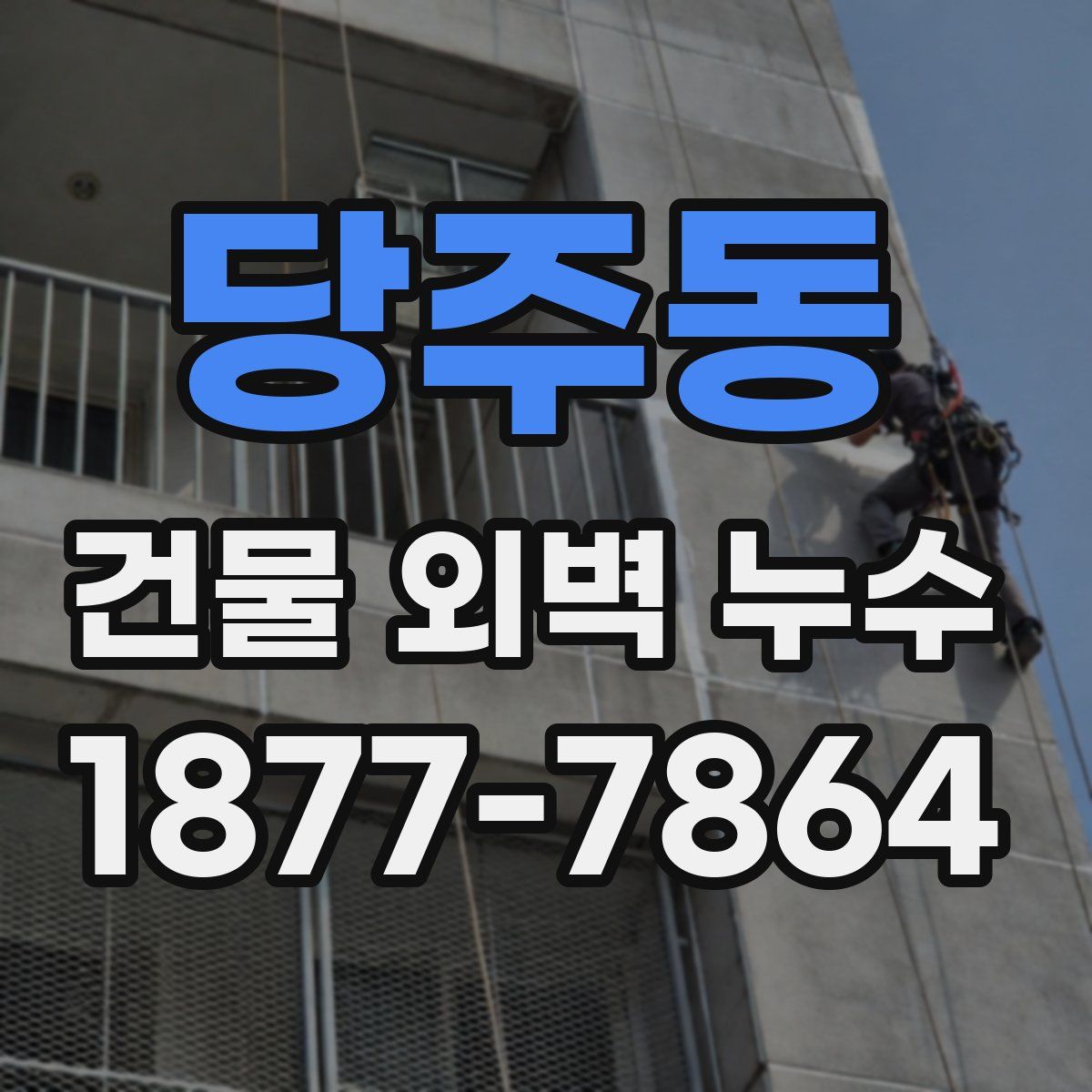 당주동 건물 외벽 누수