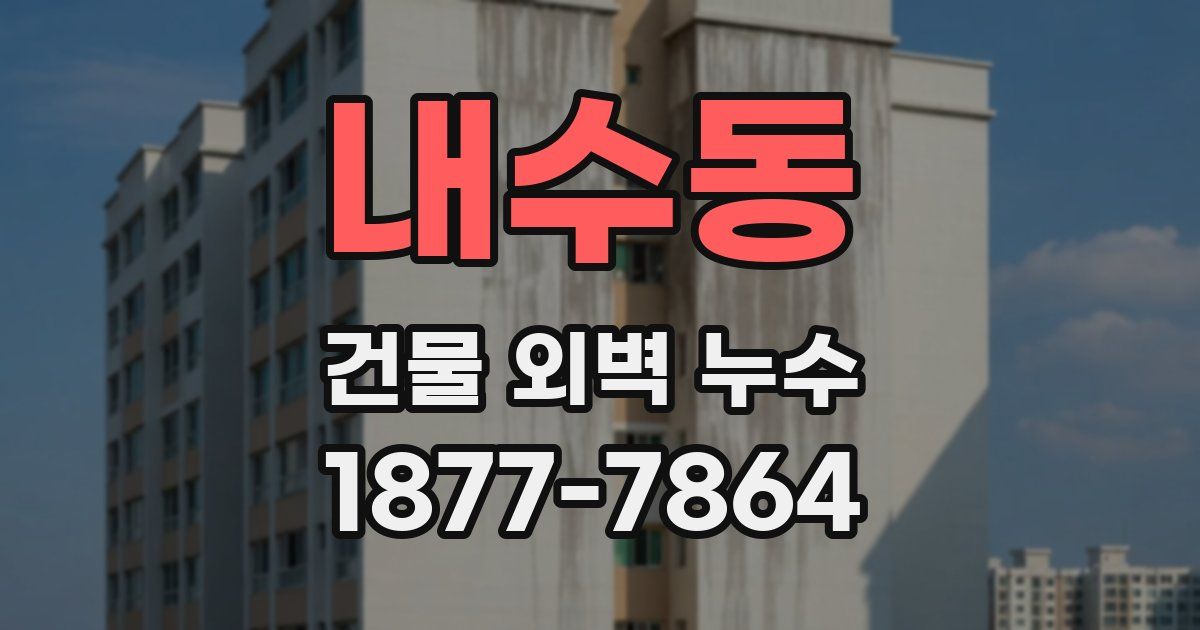 내수동 건물 외벽 누수