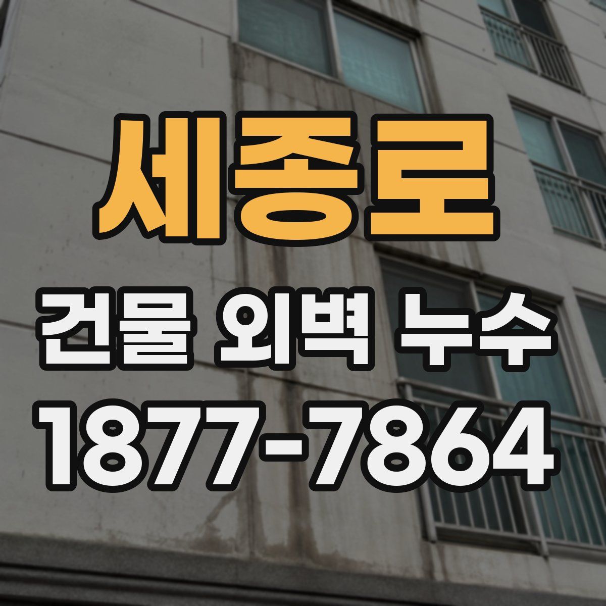 세종로 건물 외벽 누수
