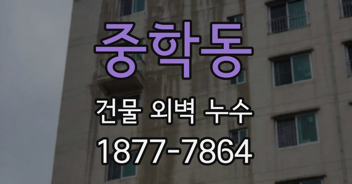 중학동 건물 외벽 누수