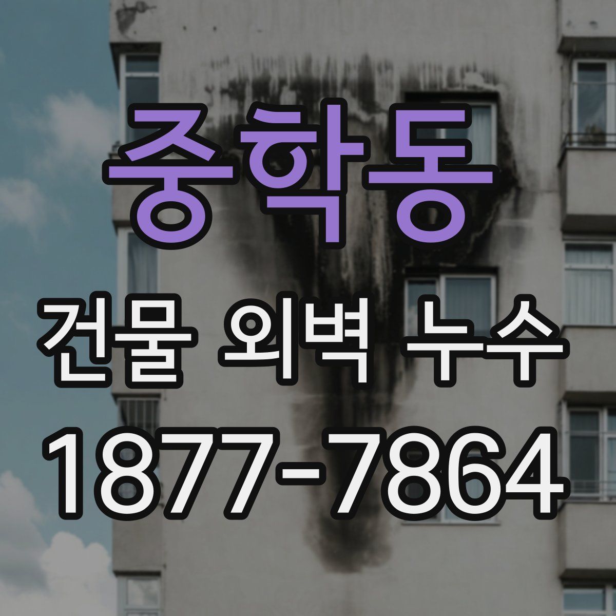 중학동 건물 외벽 누수