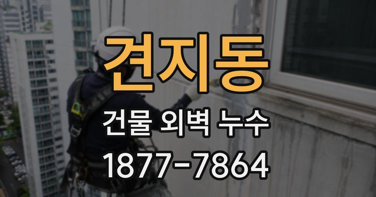 견지동 건물 외벽 누수
