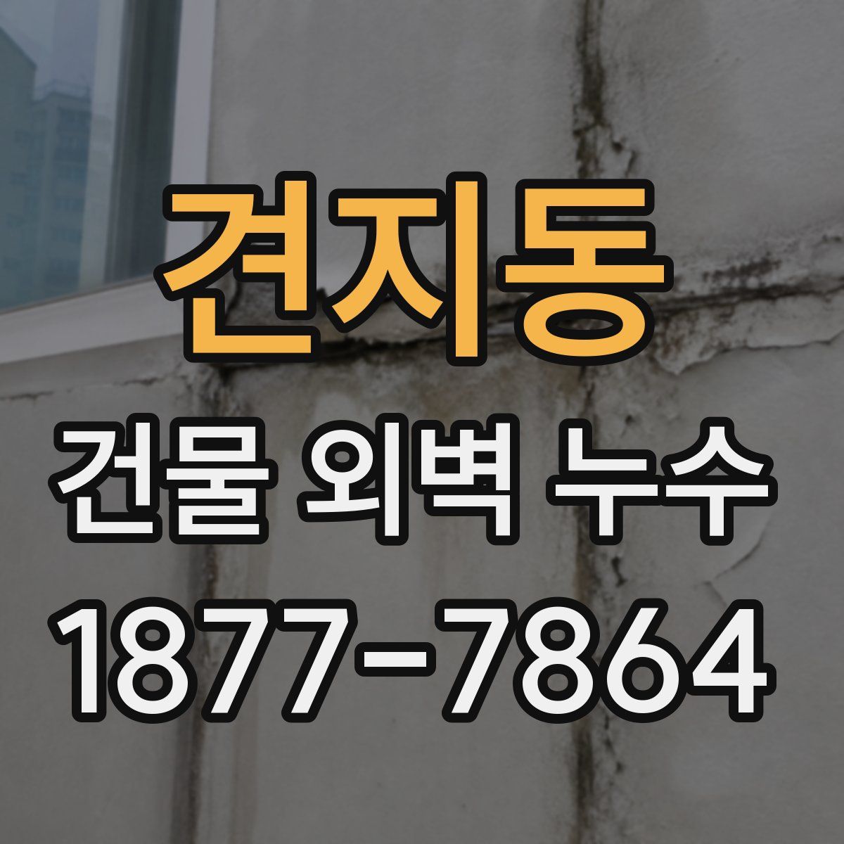 견지동 건물 외벽 누수