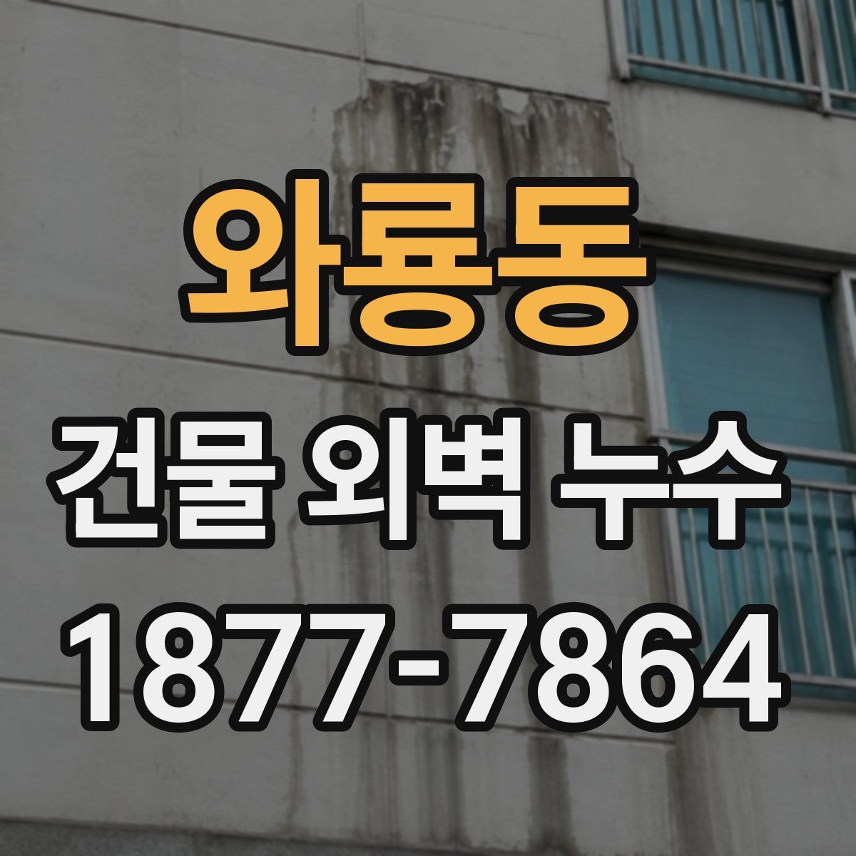 와룡동 건물 외벽 누수