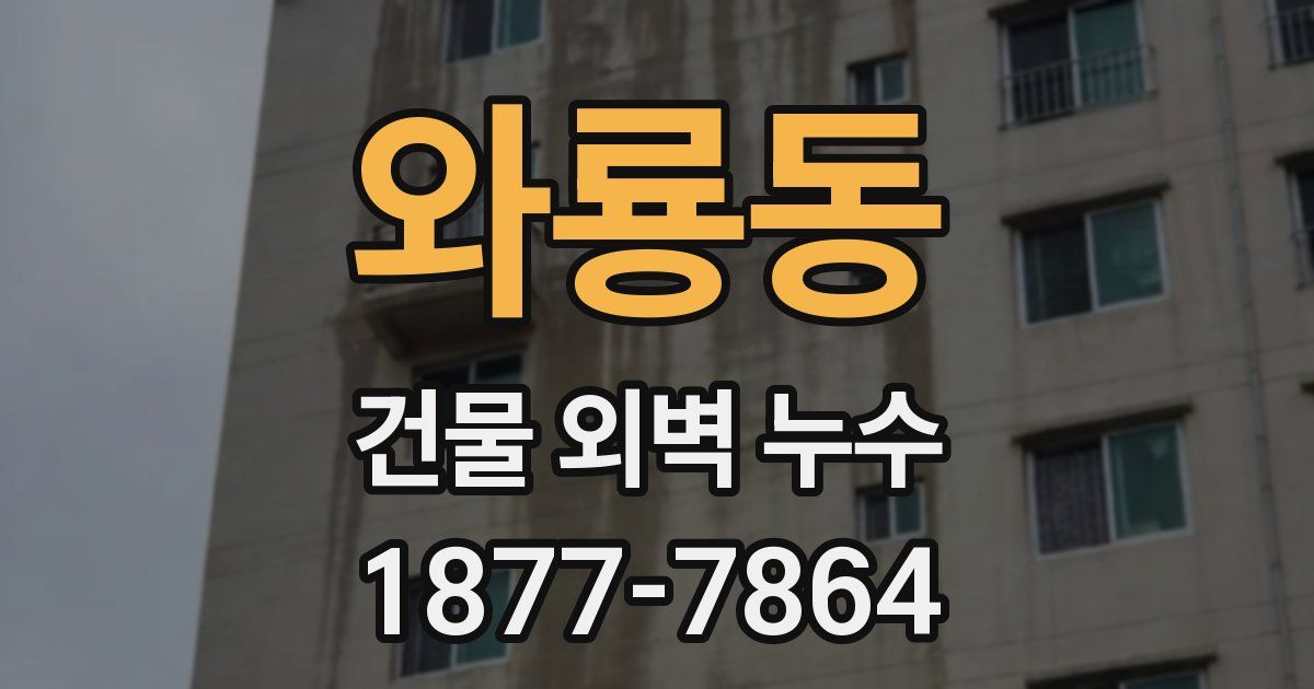 와룡동 건물 외벽 누수