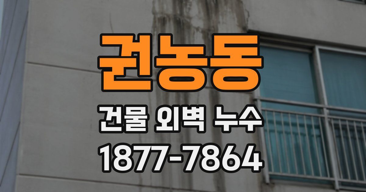 권농동 건물 외벽 누수